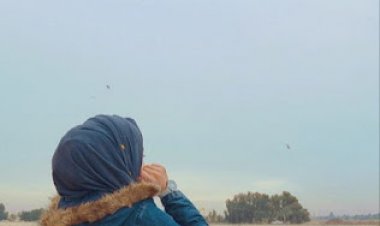 نبذة عن الكاتبة المبدعة انعام خميس الجبوري