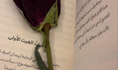 نبذة عن الكاتبة المبدعة مريم المياحي
