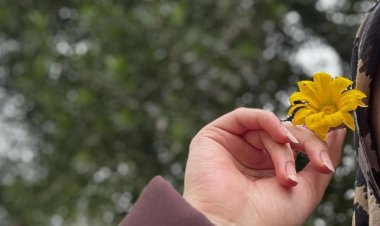 نبذة عن الكاتبة المبدعة شهد فهد