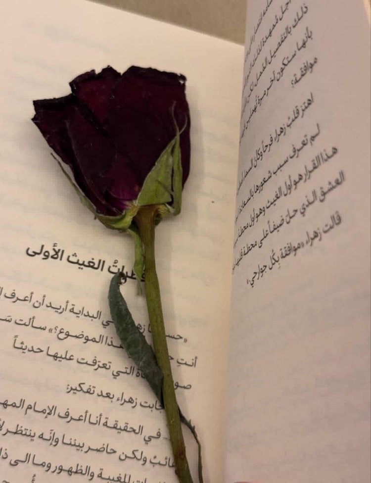 نبذة عن الكاتبة المبدعة مريم المياحي