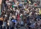 خريج مجموعة طبية والوظيفة مجهولة بقلم الكاتبة المبدعة نور  الغزي