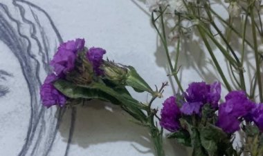 نبذة عن الكاتبة المبدعة فاطمة حسين